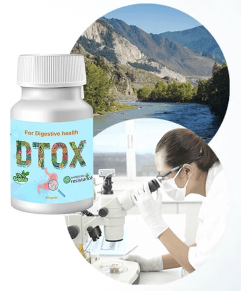 Cara Makan DTOX