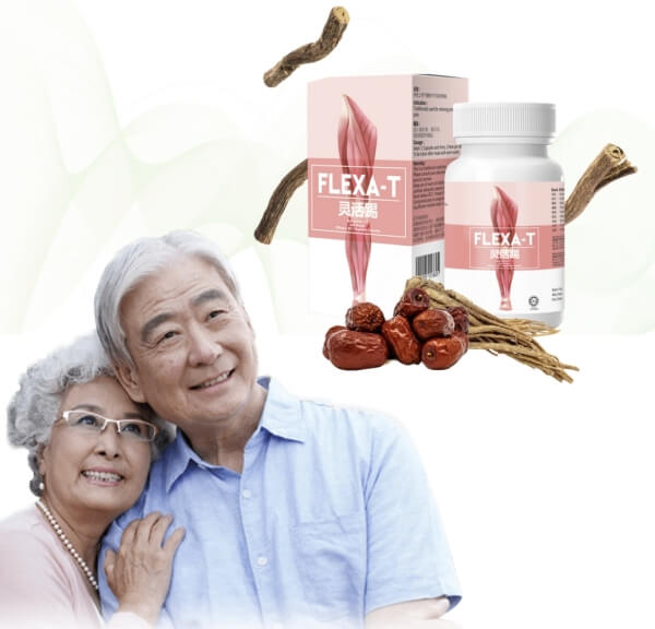 Cara Makan Flexa-T – Arahan Penggunaan Cara Makan Flexa-T – Arahan Penggunaan